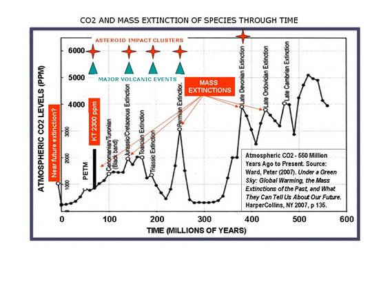 CO2 And Mass Extinction Of Species Through Time